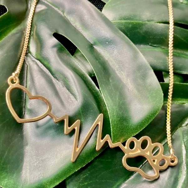 Colar PET Personalizado